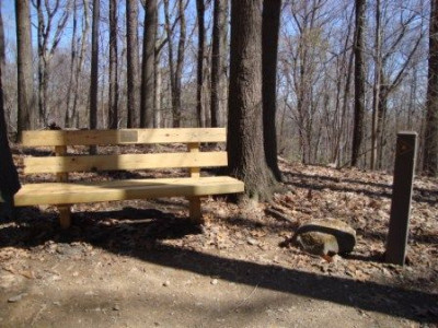 Park Bench